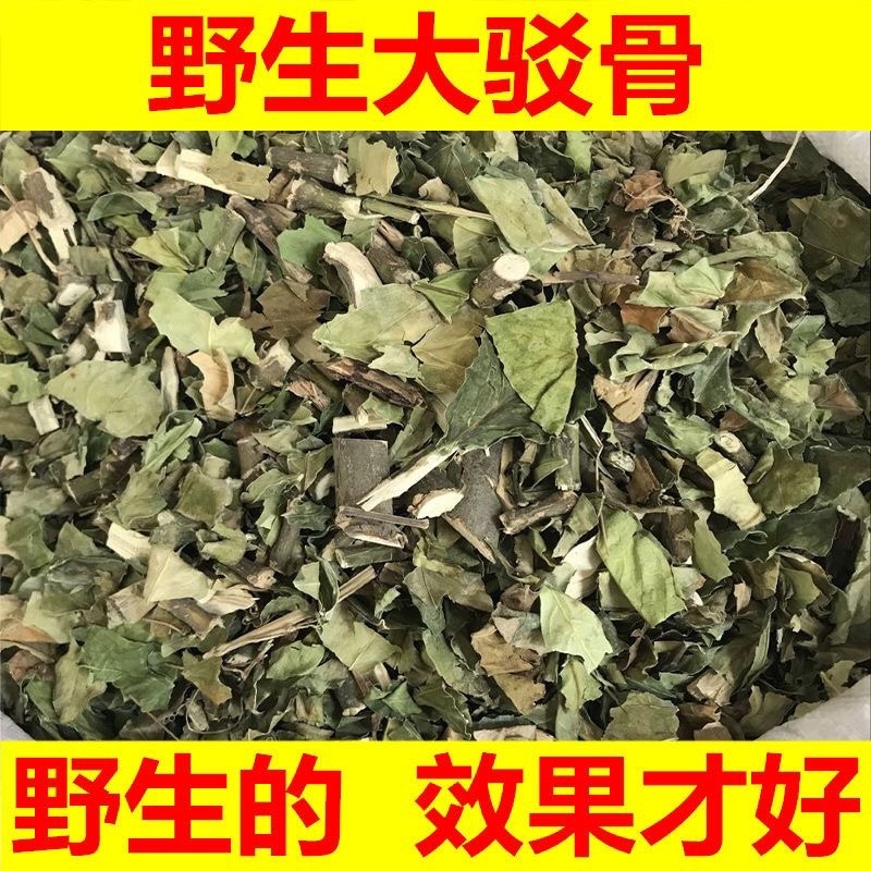 远荷子产地直售保真保量包邮