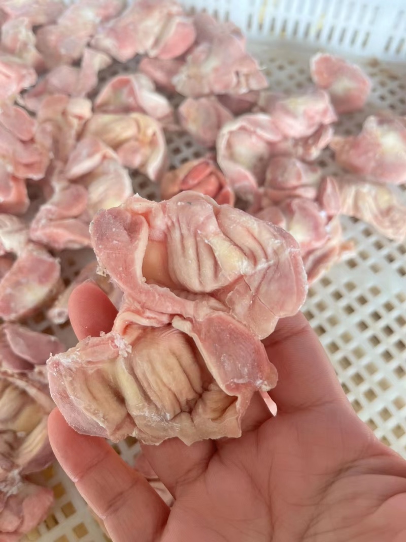 电商专用鸡胗