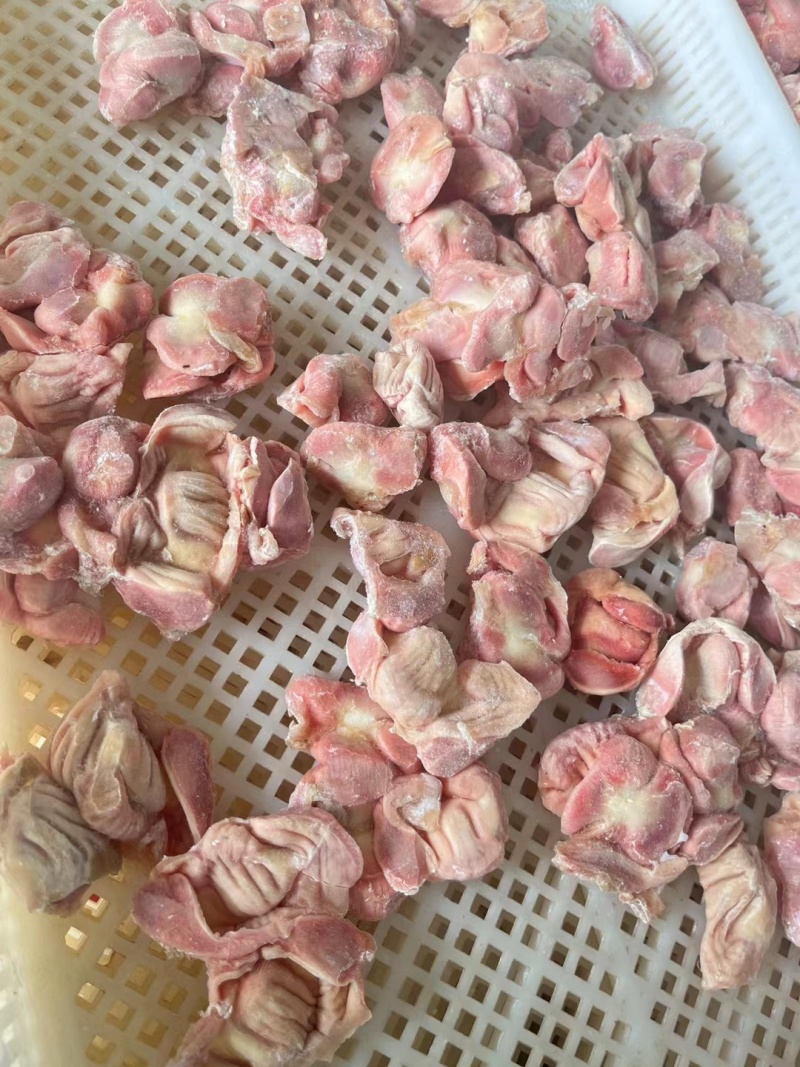 电商专用鸡胗