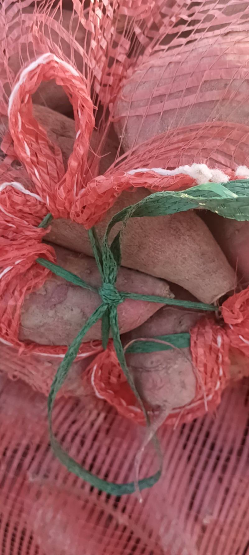 红薯广东红薯-普薯口感软甜香糯产地批发欢迎咨询