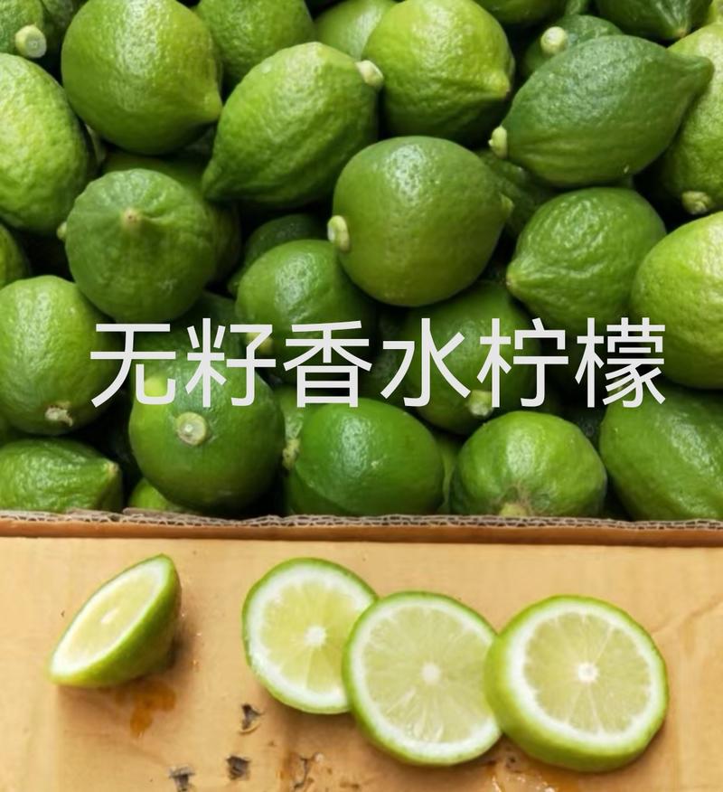 广东香水柠檬