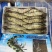 黑虎虾大虾新鲜海鲜冷冻老虎虾草虾400克x10盒