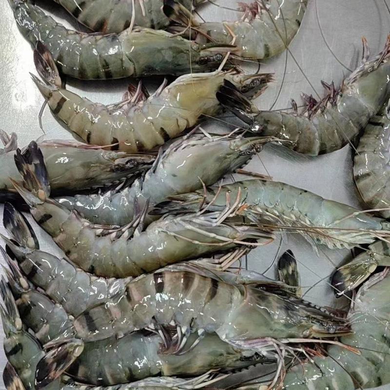 黑虎虾大虾新鲜海鲜冷冻老虎虾草虾400克x10盒
