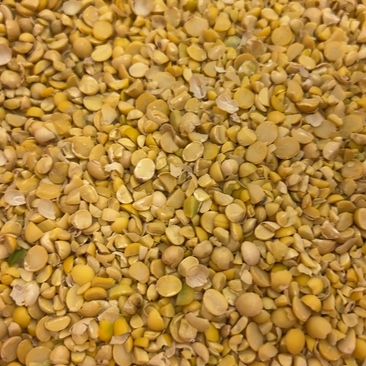 碎黄豆上地养殖饲料豆榨油压饼豆膨化豆