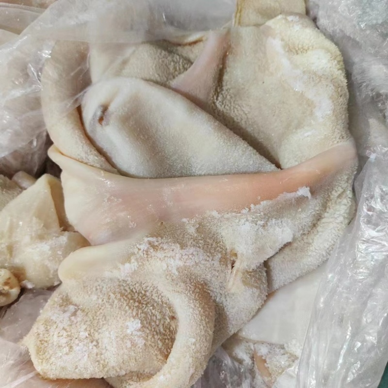 全熟水煮牛肚山东滨州产地直发，量大从优，新鲜发货。