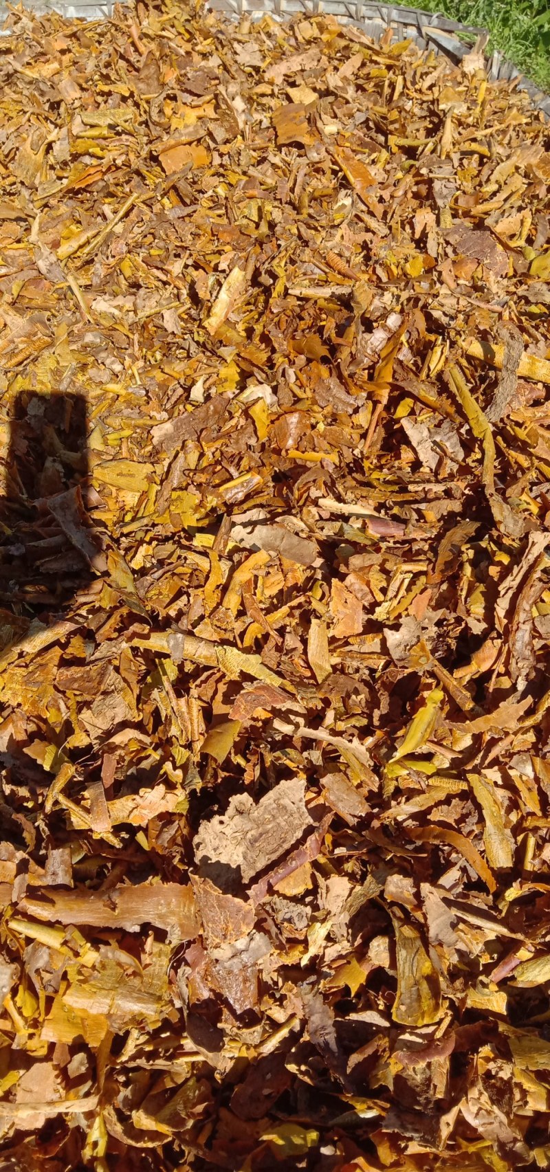 檀香皮，找买家。