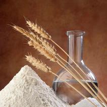 【小麦面粉】河南面粉小麦粉厂家货源质量保证全国发货
