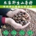 油茶籽山茶籽广西高山茶果，出油率高量大从优电联采购