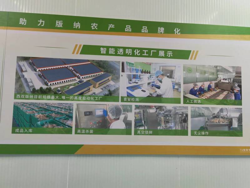云上食品香糯玉米，糯金宝小玉米，糯壮元，母指糯，品种多多