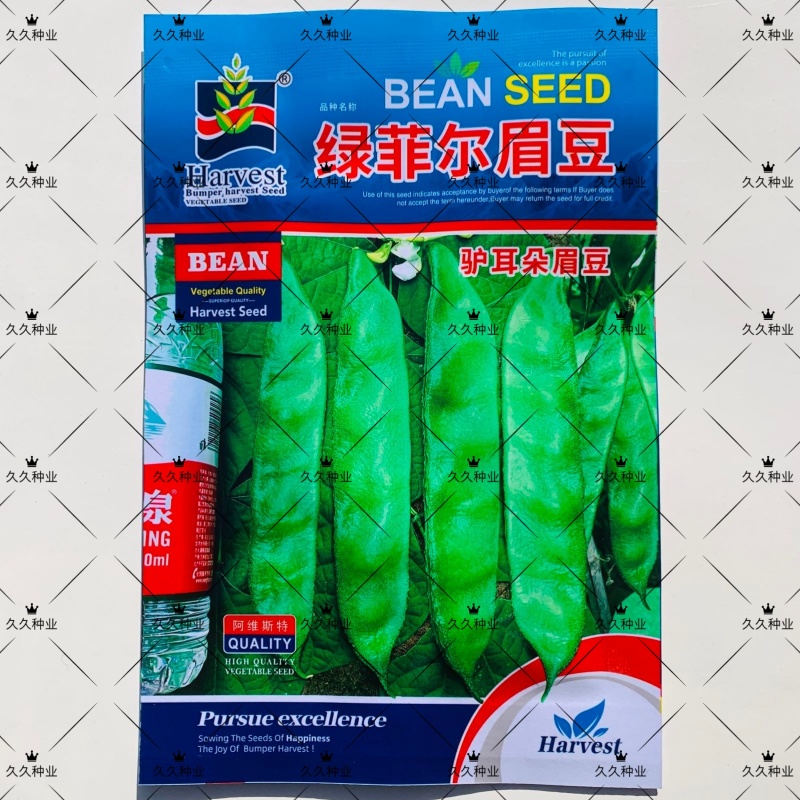 绿菲尔眉豆种子大驴耳朵眉豆种籽绿眉豆扁豆种子春秋季爬藤蔬