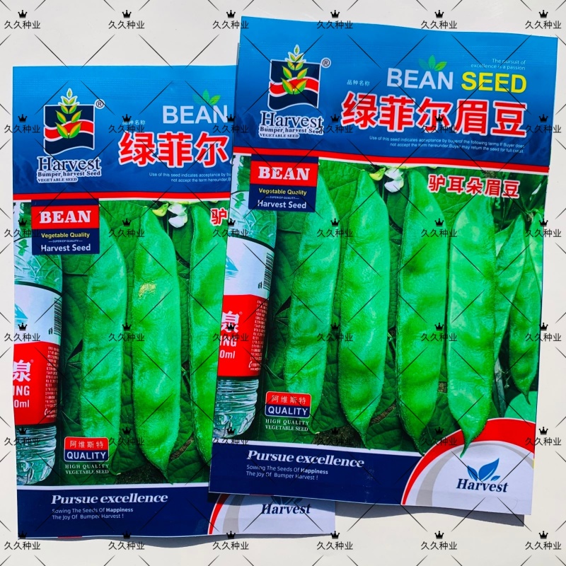 绿菲尔眉豆种子大驴耳朵眉豆种籽绿眉豆扁豆种子春秋季爬藤蔬