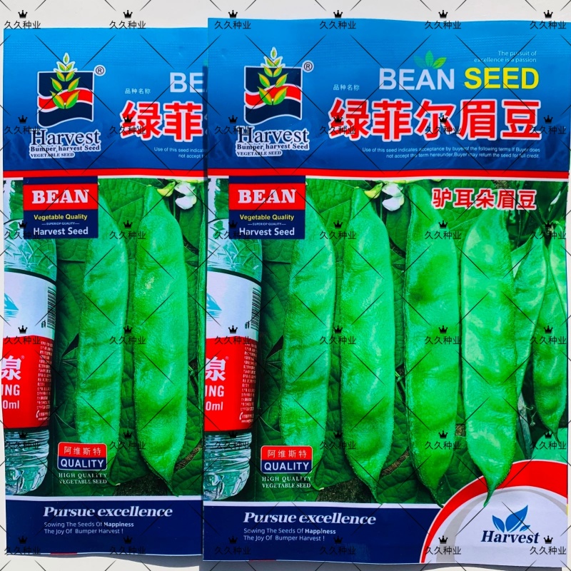 绿菲尔眉豆种子大驴耳朵眉豆种籽绿眉豆扁豆种子春秋季爬藤蔬