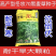 牧草种子多年生黑麦草种子四季种植养高产耐寒冬牧70种子