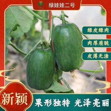 绿娃娃二号甜瓜种子，新品种，肉厚质脆，甘甜清脆