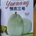悦农三号甜瓜种子，早熟，酥脆爽口，香味浓郁