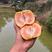四川椪柑新鲜薄皮橘子应季桔子大量上市一手货源