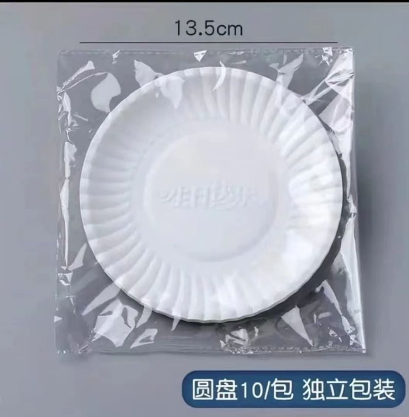 生日蛋糕纸盘一次性纸碟水果盘烧烤盘环保餐盘幼儿园手工绘画