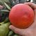 塔罗科血橙，血橙，万亩基地大量有货，里内带血对接所有渠到