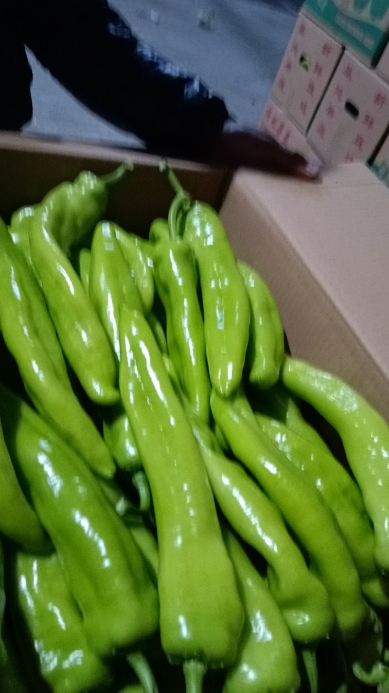 大量走货需要联系