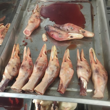 鸭头，鸭架