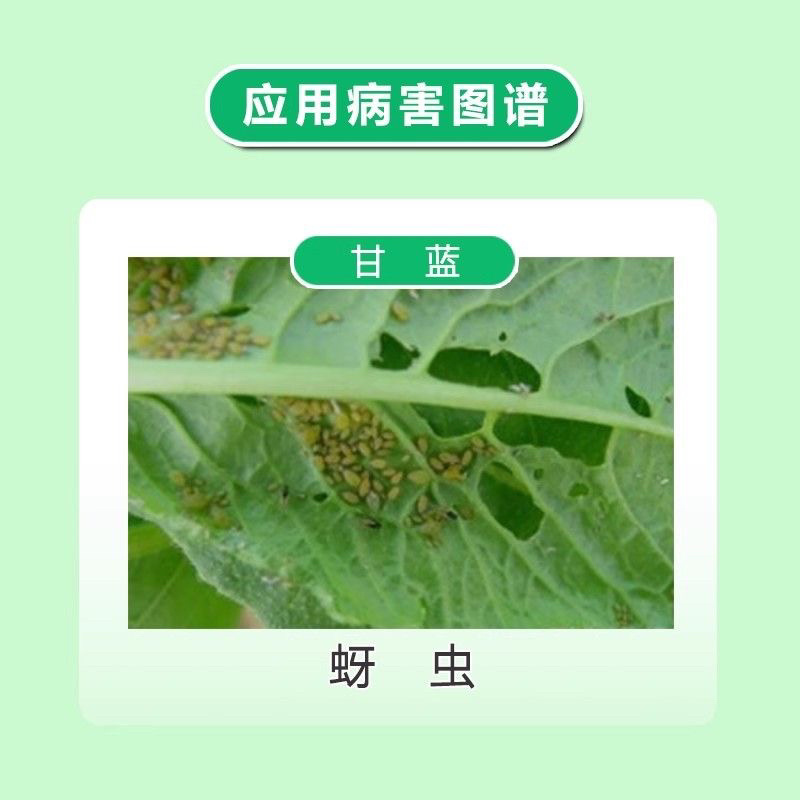 联合氟氯吡虫啉高效氟氯氰菊酯小麦节瓜蚜虫蓟马杀虫剂