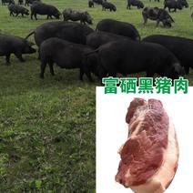 内蒙古富硒黑猪肉每天散养品质保证诚信经营欢迎联系