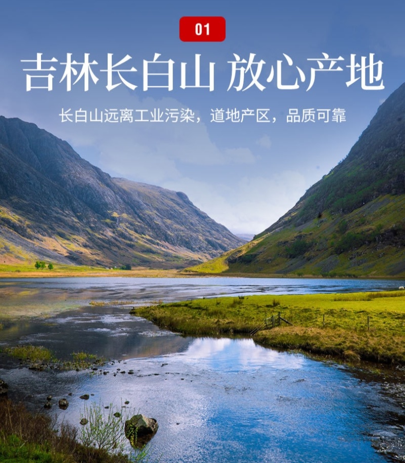【长白山发货】野生黄芪无硫手工切片500克黄芪圆片包邮