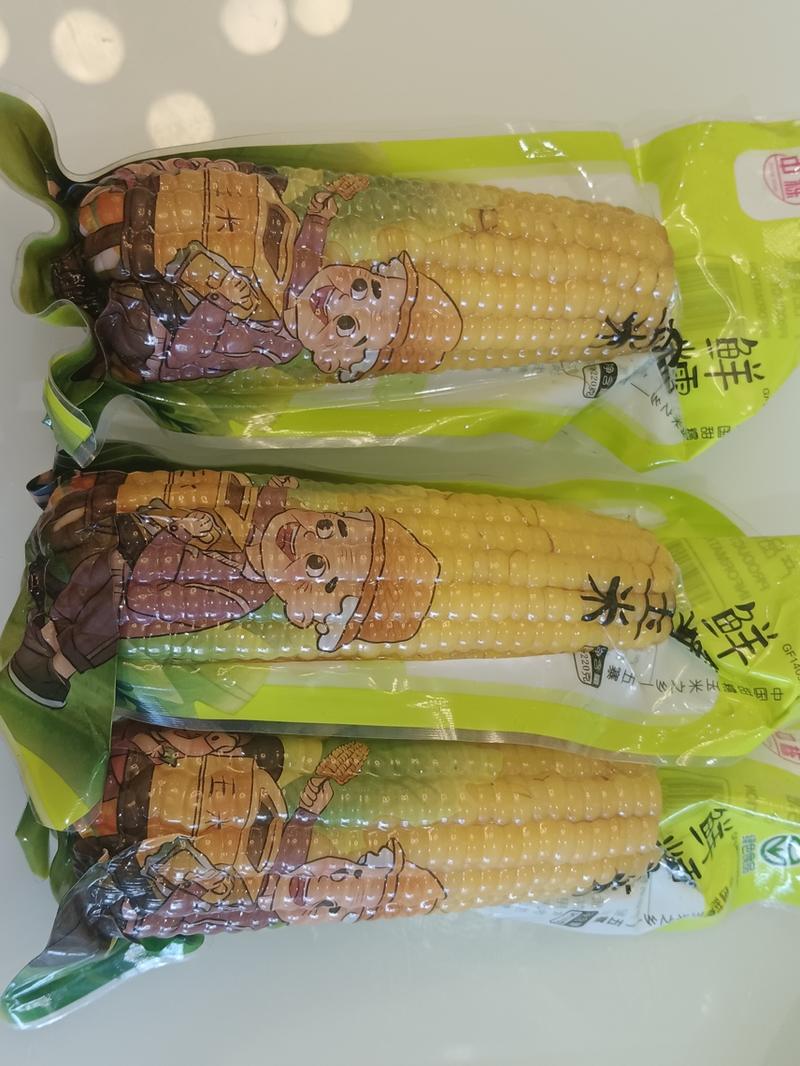 2024黄甜糯真空玉米新货大量有货质量保障