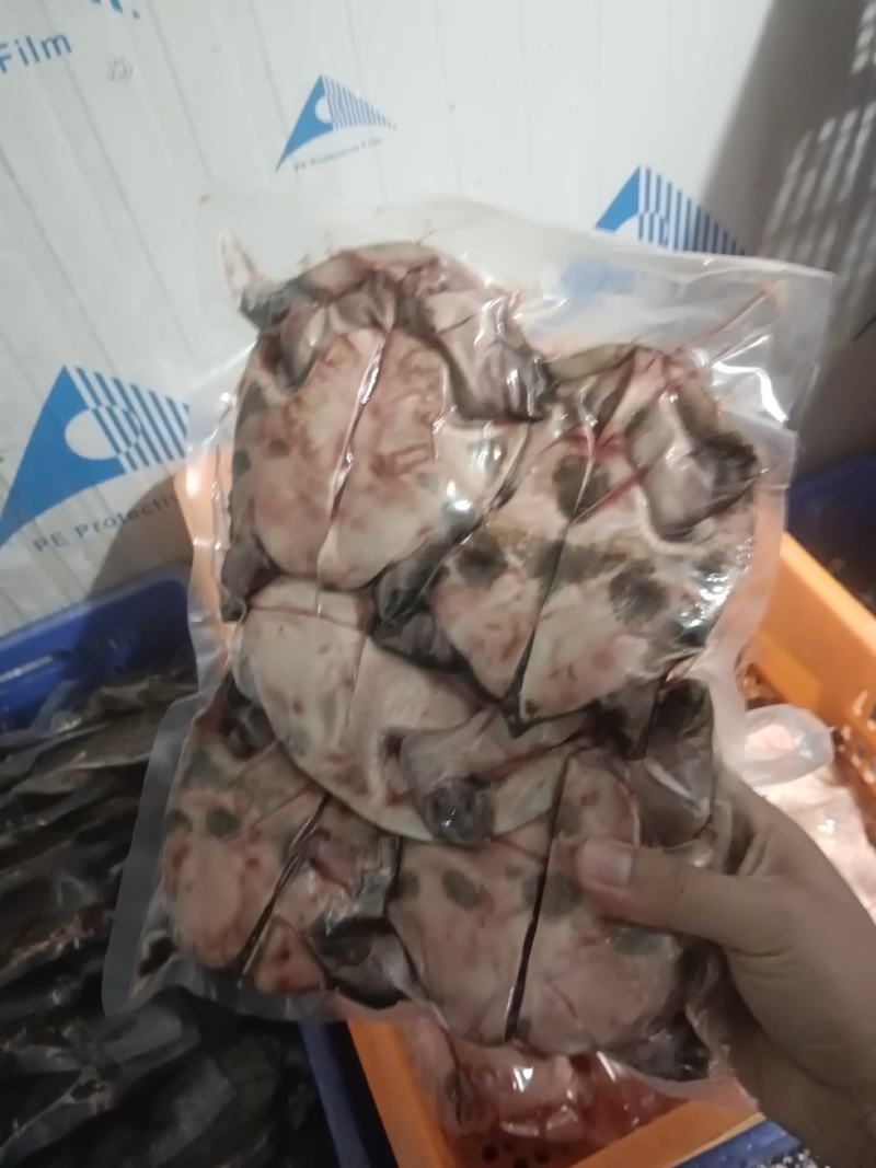 剁块甲鱼，活鱼代杀，来鱼代加工，卤甲鱼专用，量大优惠