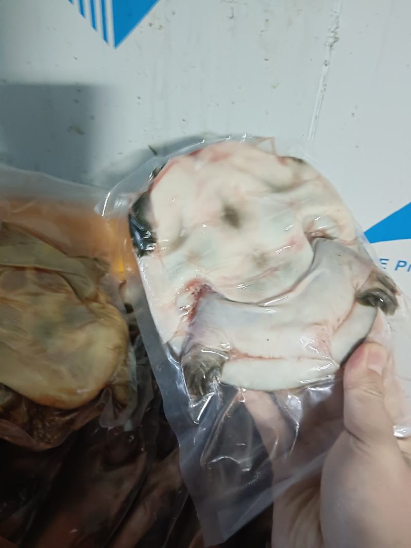 剁块甲鱼，活鱼代杀，来鱼代加工，卤甲鱼专用，量大优惠