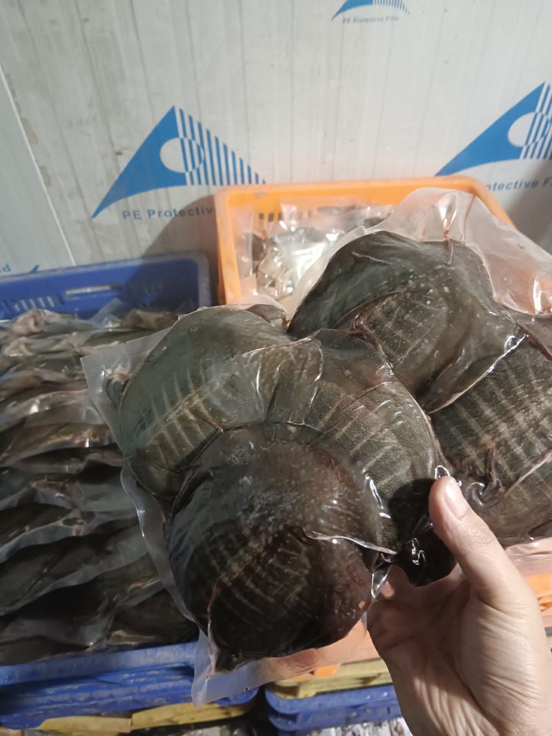 剁块甲鱼，活鱼代杀，来鱼代加工，卤甲鱼专用，量大优惠