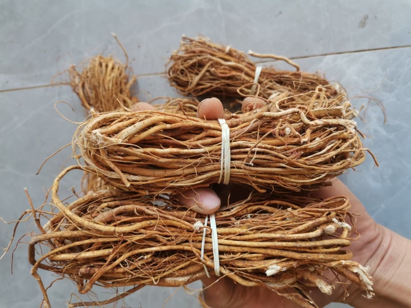 五指毛桃小扎，工厂直销，一件也是批发价！限量抢购哦！