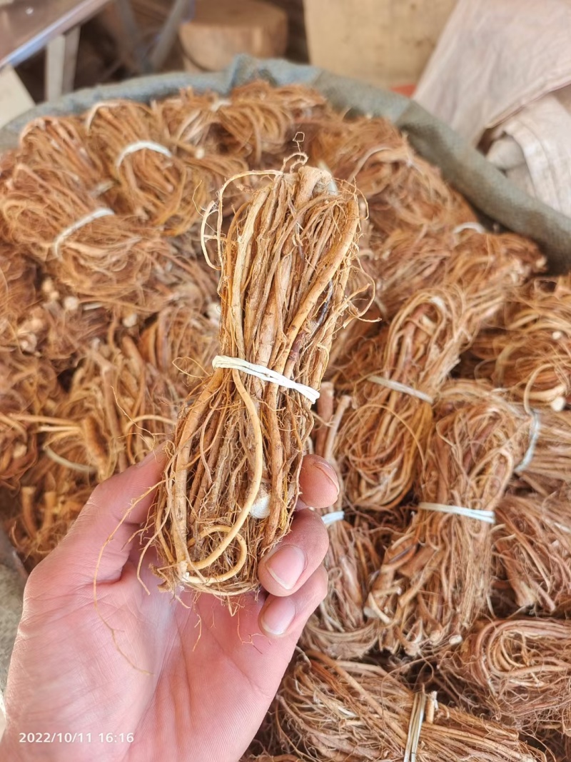 五指毛桃小扎，工厂直销，一件也是批发价！限量抢购哦！