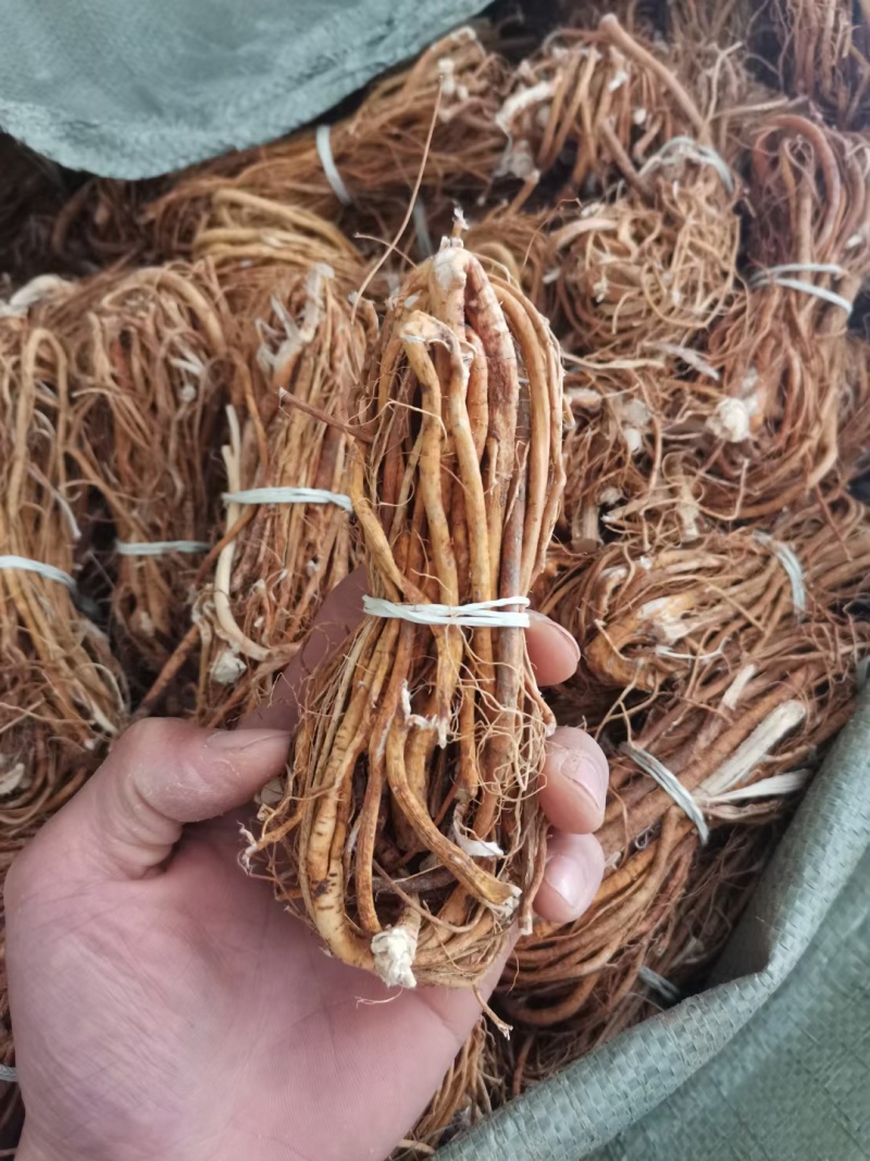 五指毛桃小扎，工厂直销，一件也是批发价！限量抢购哦！