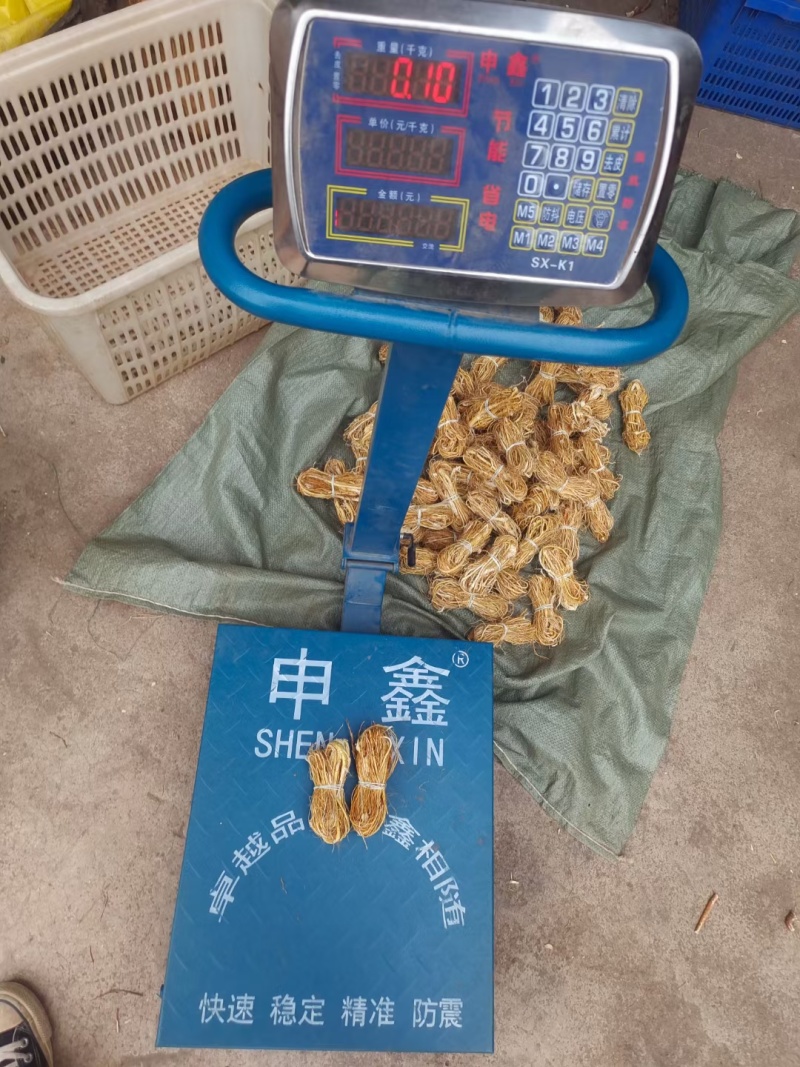 五指毛桃小扎，工厂直销，一件也是批发价！限量抢购哦！