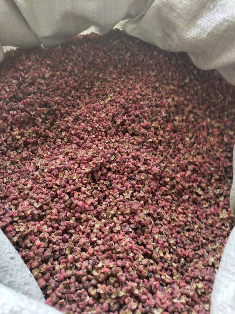 大红袍花椒货量充足价格优惠量大从优欢迎咨询