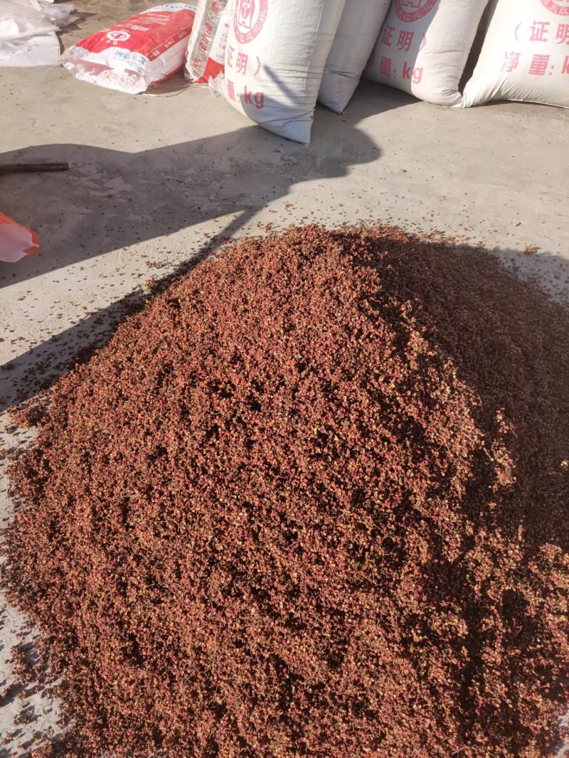 大红袍花椒货量充足价格优惠量大从优欢迎咨询