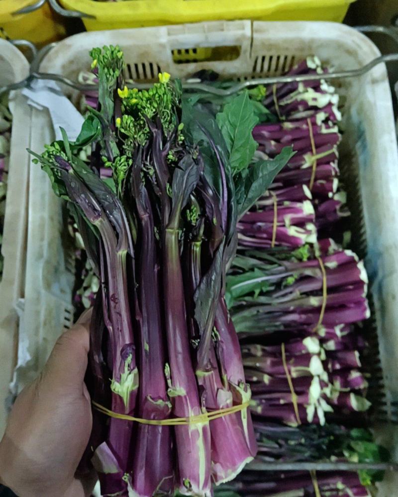 红菜苔
