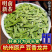 新茶龙井茶叶西湖区生产杭州龙井明前春茶豆香绿茶