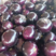 茄子/精品紫光圆茄商超品质全国发货质检保证欢迎联系