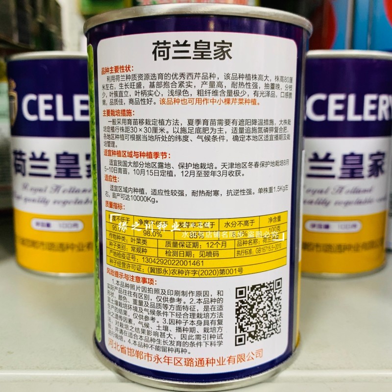 荷兰**西芹种子实心芹菜种子耐热性强口感脆嫩基地专用
