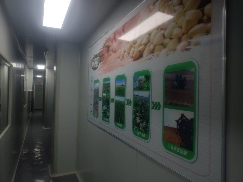纯甜荞粉，100目，大家可以来