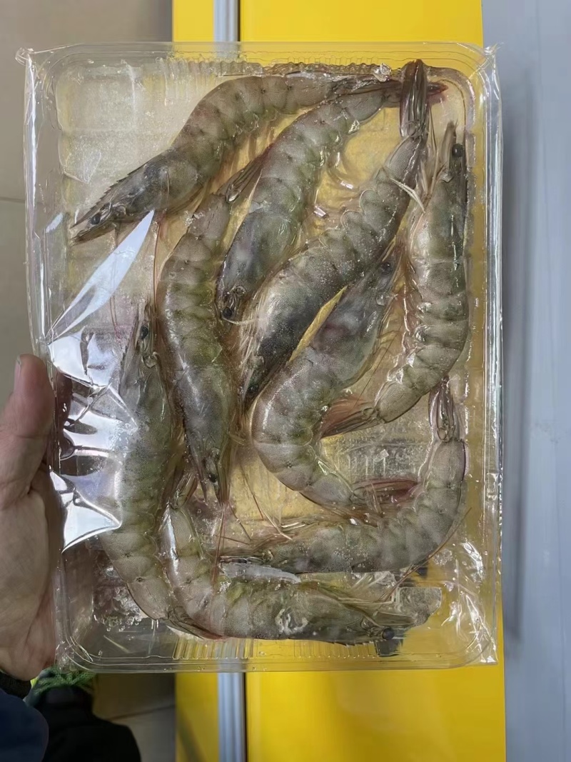 海鲜礼包