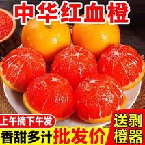 中华红橙新鲜红心橙子现摘秭归红肉甜脐橙雪橙孕妇应季水果