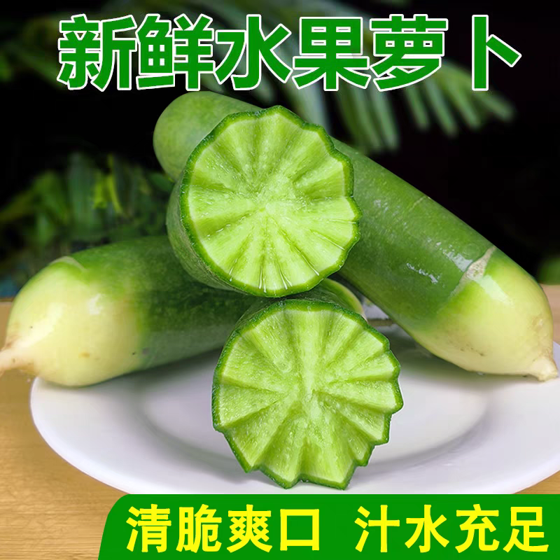 水果萝卜青萝卜产地看货论价保质保量欢迎订购