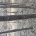 4/5公分楸树