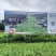 贵州省遵义市凤冈县琊川镇琊贡米