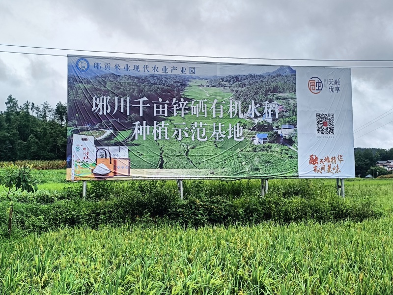 贵州省遵义市凤冈县琊川镇琊贡米