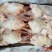 白条鸡，三黄鸡，西装鸡，14，16，17，18，20