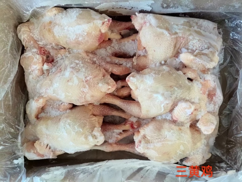 白条鸡，三黄鸡，西装鸡，14，16，17，18，20